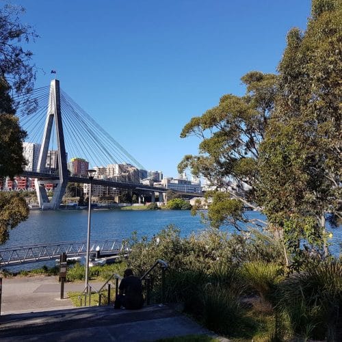 Glebe Foreshore Raingardens