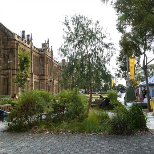Sydney University Raingardens and Reuse